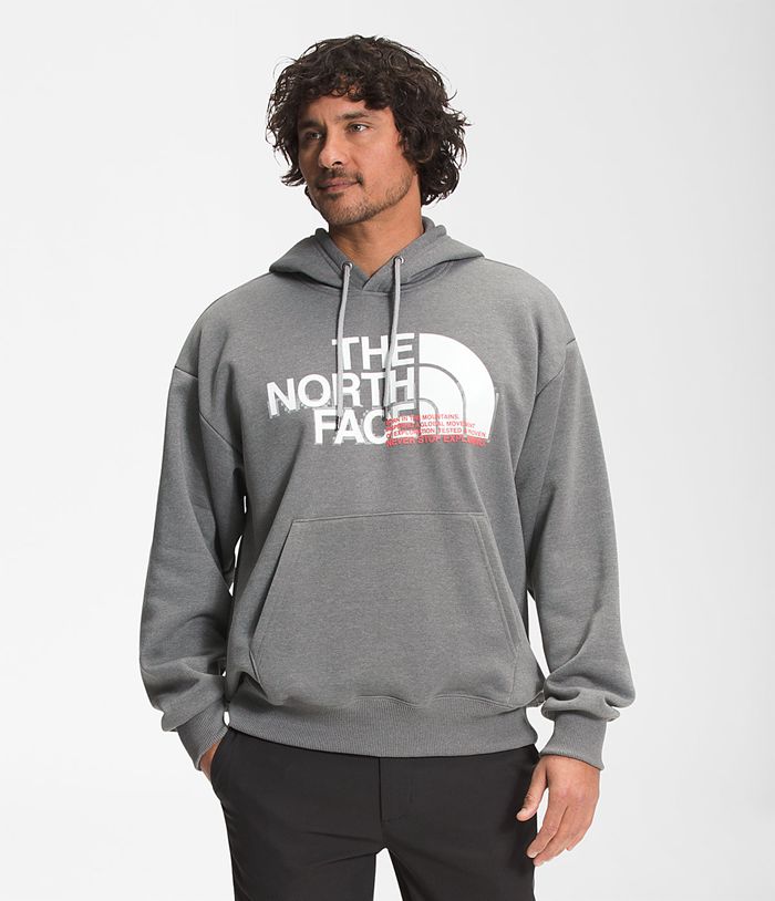 Sudadera Con Capucha The North Face Hombre Coordinates Pullover Gris - Peru 47528VESG